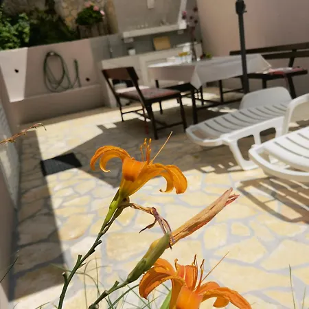 Zina Apartmants Appartement *