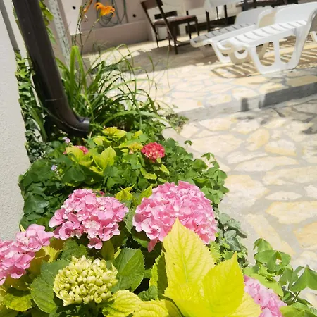 아파트 Zina Apartmants *